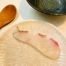 [진주이자카야] 스시쇼오무에서 쿄우호테이 먹은후기