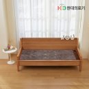 현대의료기 쇼핑하우
