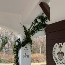 에코랜드 | 제주 곶자왈숲 기차여행 에코랜드 후기 할머니와 함께한 제주여행