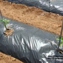 인영농장 이미지