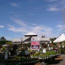 참새방앗간 이미지