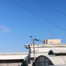 양동수산시장1 이미지