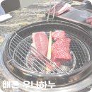 배곧 우니하누