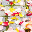 대곡신당 이미지