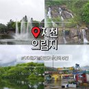 용추폭포가든 | 제천 아이랑 가볼만한곳 산책하기 좋은 의림지 용추폭포