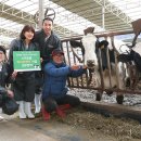 남양목장 2 이미지