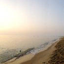 조일프라자 이미지