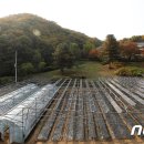 분당태양광발전소 이미지