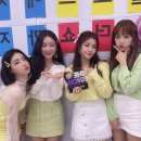 브레이브 걸스 카카오 검색결과