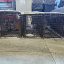 화천동물병원 이미지