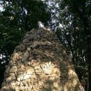 우면산3-17 이미지