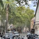 팔마문구 | 스페인 마요르카 팔마 여행기 10탄 _ 팔마시내 구경 및 숨겨진 현지인에게 추천받은 내돈내산 맛집,카페...