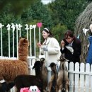 대성가든 이미지