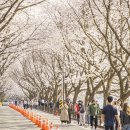 벚꽃마을경로당 이미지