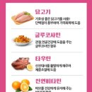 너를위한케이크 | 강아지 간식 '너를 위한 디저트 캔디' 후기 대박간식