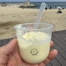 최씨네칼국수 | 1박2일 애견동반 강원도 강릉여행 1일차 (중앙시장,맛집, 숙소 추천)