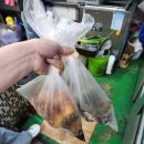 벌교초장집 이미지