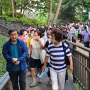 수락산 순환산책로 이미지