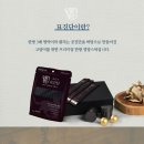 반려동물보감연구소 이미지