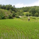 남궁농장 이미지