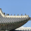 우섭사진관 | 우당탕 삼 남매 여행기 2탄
