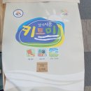프로젝트삼백