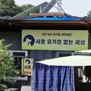 반려 | 유기견 봉사 활동후기, 반려동물 인플루언서 가낳네키와 함께!