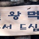 혼저옵서멍 이미지