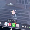 활짝핀유치원 | [대전 서구] 한밭수목원 4월 초 벚꽃후기/벚꽃,목련꽃, 튤립 개화현황