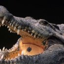 우림슈퍼 이미지