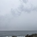 진주펜션 | 영덕 강구항 근처 “락엔라이프펜션” 오션뷰 독채 진주B 후기