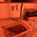 도노호텔 이미지