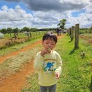 스마일세탁소 이미지