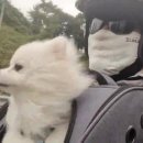 우기바이크