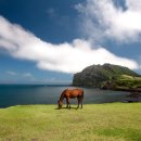 나인브릿지골프클럽(회원제) 이미지