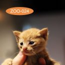 용연로 50번길 이미지