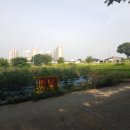 코아루부자공인중개사사무소 네이버블로그