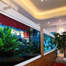 카페 엘림 이미지