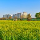 낙동강체육공원 2주차장 화장실 이미지