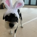 칠곡유치원 이미지