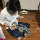 커피 카페/ 영화 지오스톰/ 숙이네 조개구이/ 영덕여행/ 영덕/ 영화 범죄도시/ 레몬청 만들기/ 피지오겔...