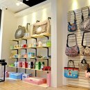 펫 파라다이스(pet paradise) 이미지