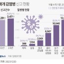 성매개 감염병 신고 현황 이미지