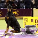 LINEUP 1989 이미지