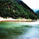 홍천 강가애 이미지