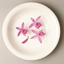 마음이 머무는곳 이미지