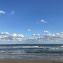 송정해변로 62 이미지