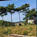 무창포공인중개사사무소 이미지