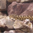 원통1공원 이미지