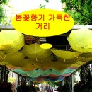 생활꽃꽂이(야간) 이미지